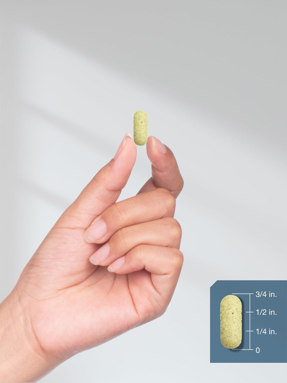 Horbaach Glucosamine Chondroitin MSM with Turmeric ingredients chart highlights the blend