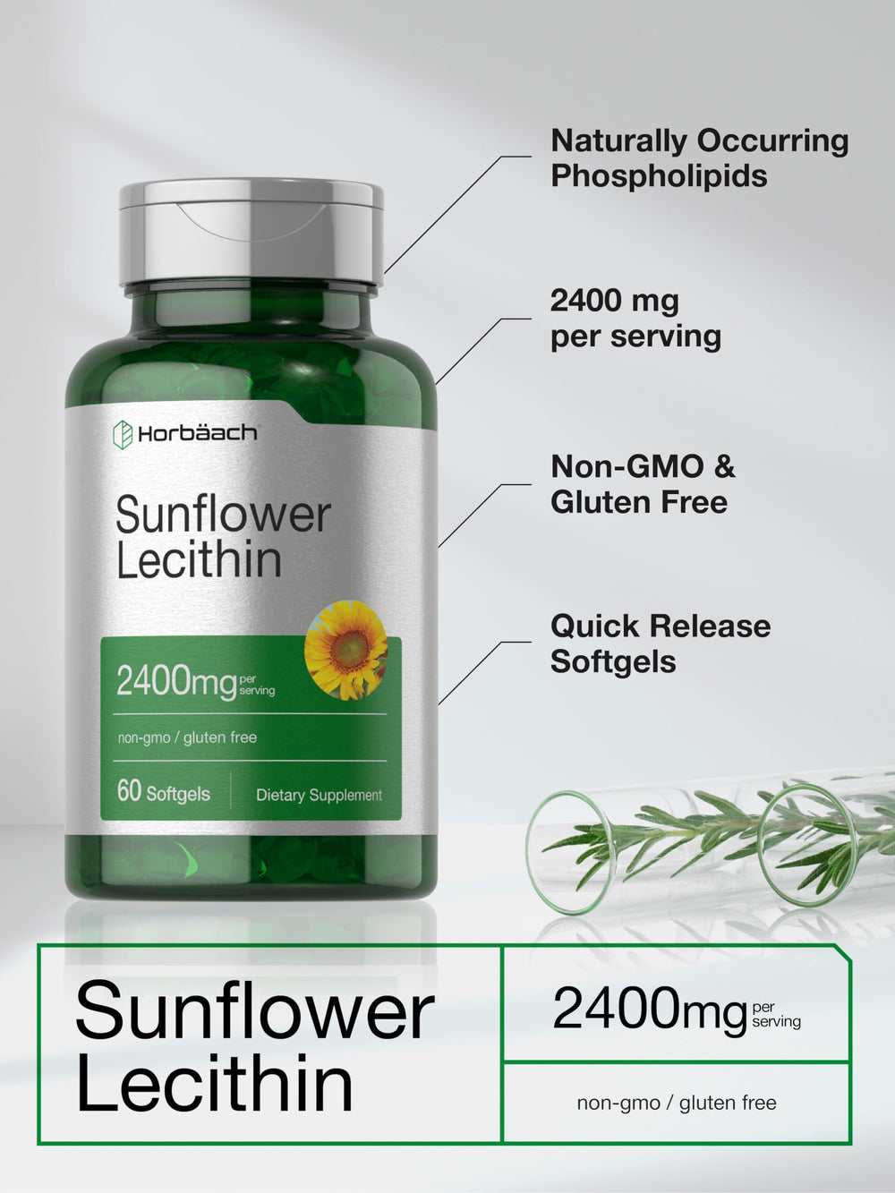Smooth Horbaach Lecithin softgel capsules viewed up close for everyday use