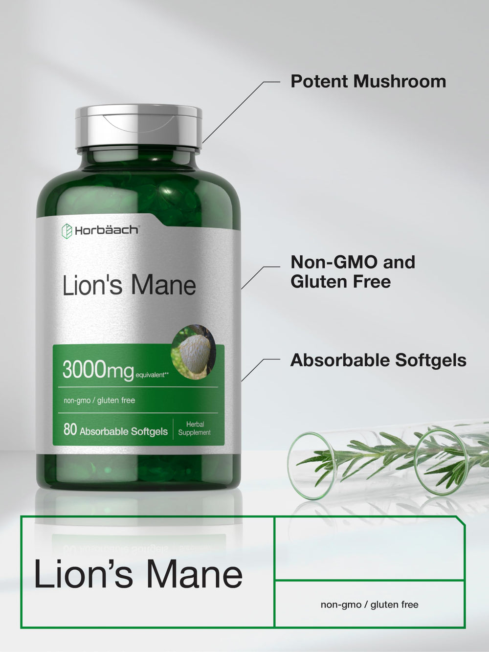 Horbäach Lions Mane ingredients panel highlights gluten-free and non-GMO formula