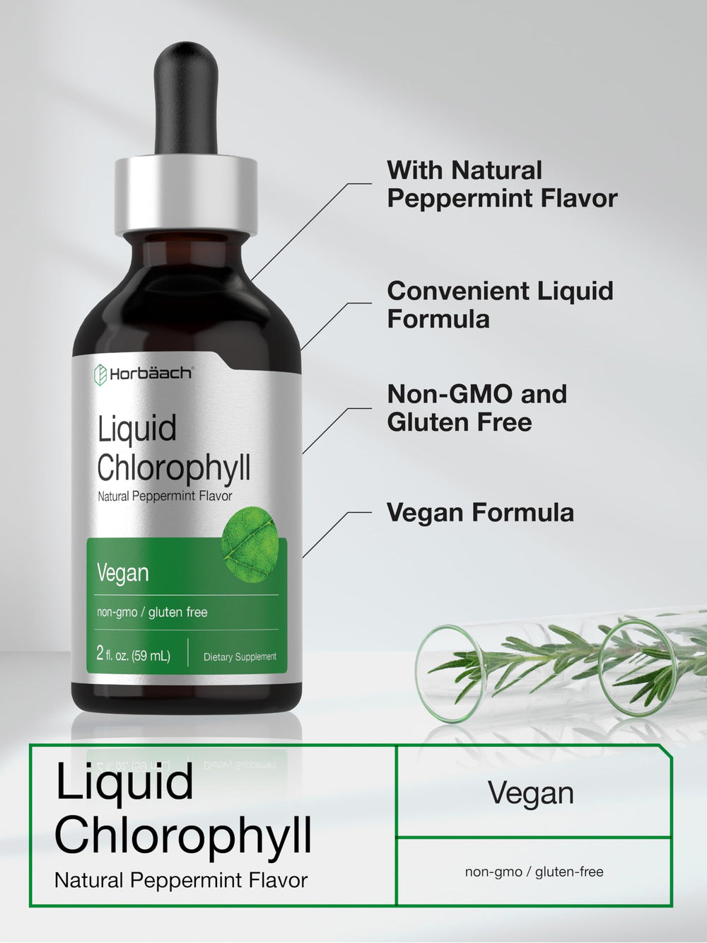 Horbäach Liquid Chlorophyll Drops glass of water showing a subtle green hue.