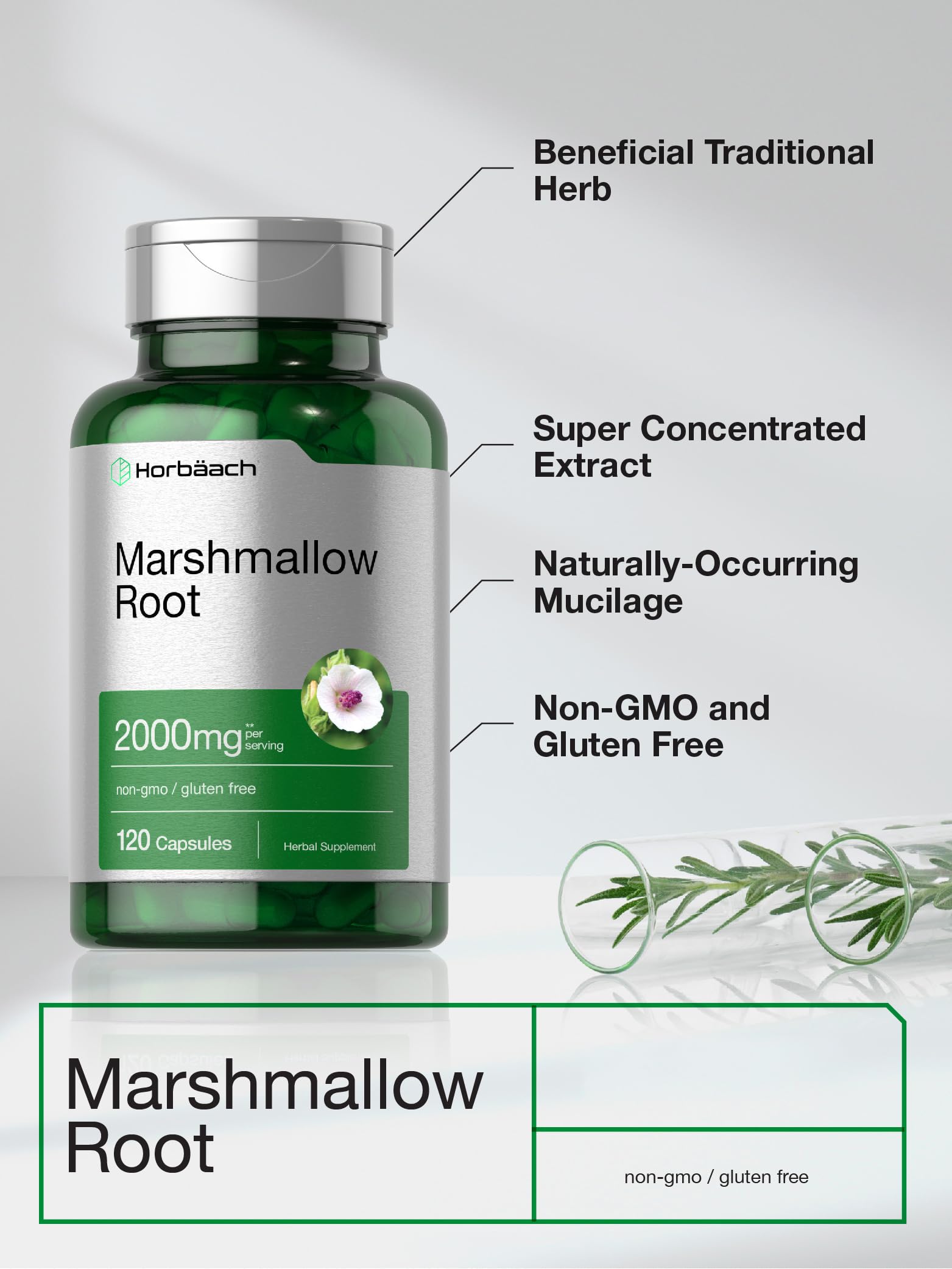 Horbaach marshmallow root capsules packaging shows premium herbal supplement