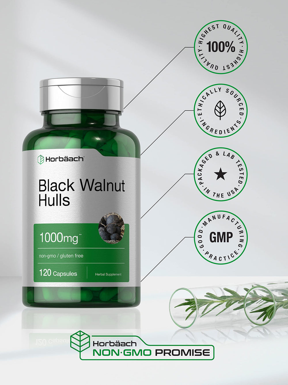 Horbaach Black Walnut Hulls natural harvest imagery for herbal support.
