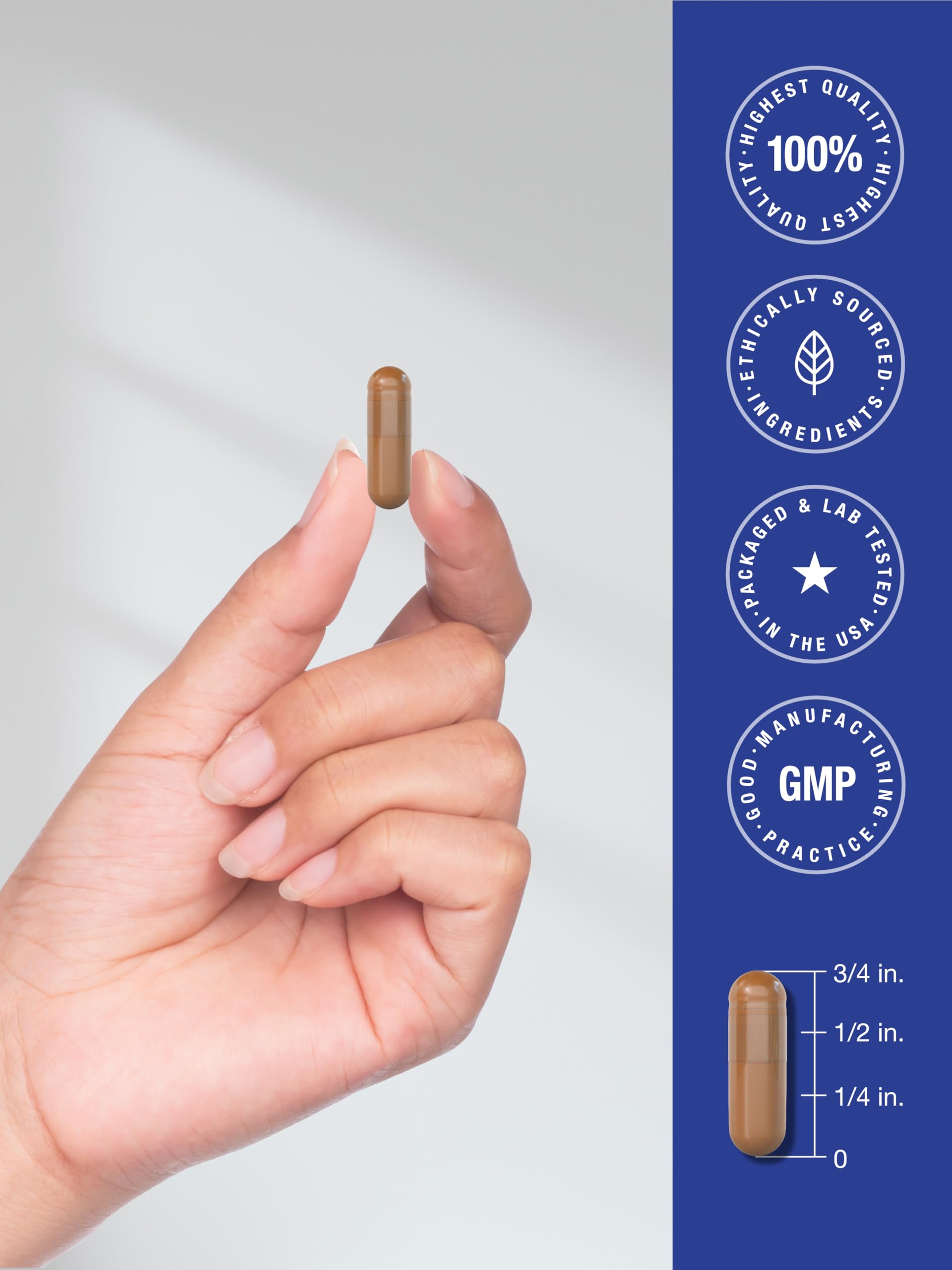 Horbäach PQQ maximum-strength formula for everyday wellness