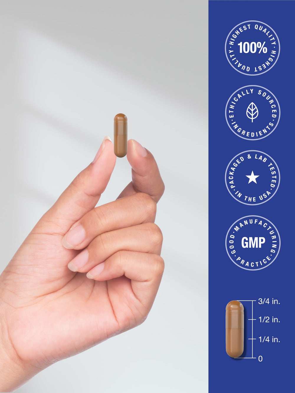 Horbäach PQQ maximum-strength formula for everyday wellness