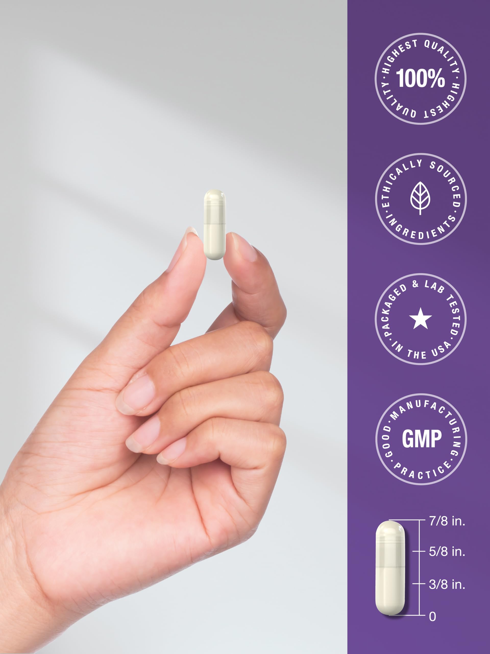 Horbaach Probiotics daily-use visual promotes easy routine and gut support.