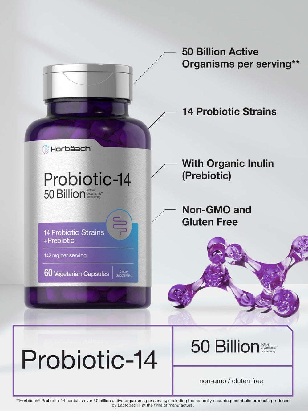 Horbaach Probiotics illustration of prebiotic support nourishes beneficial bacteria.