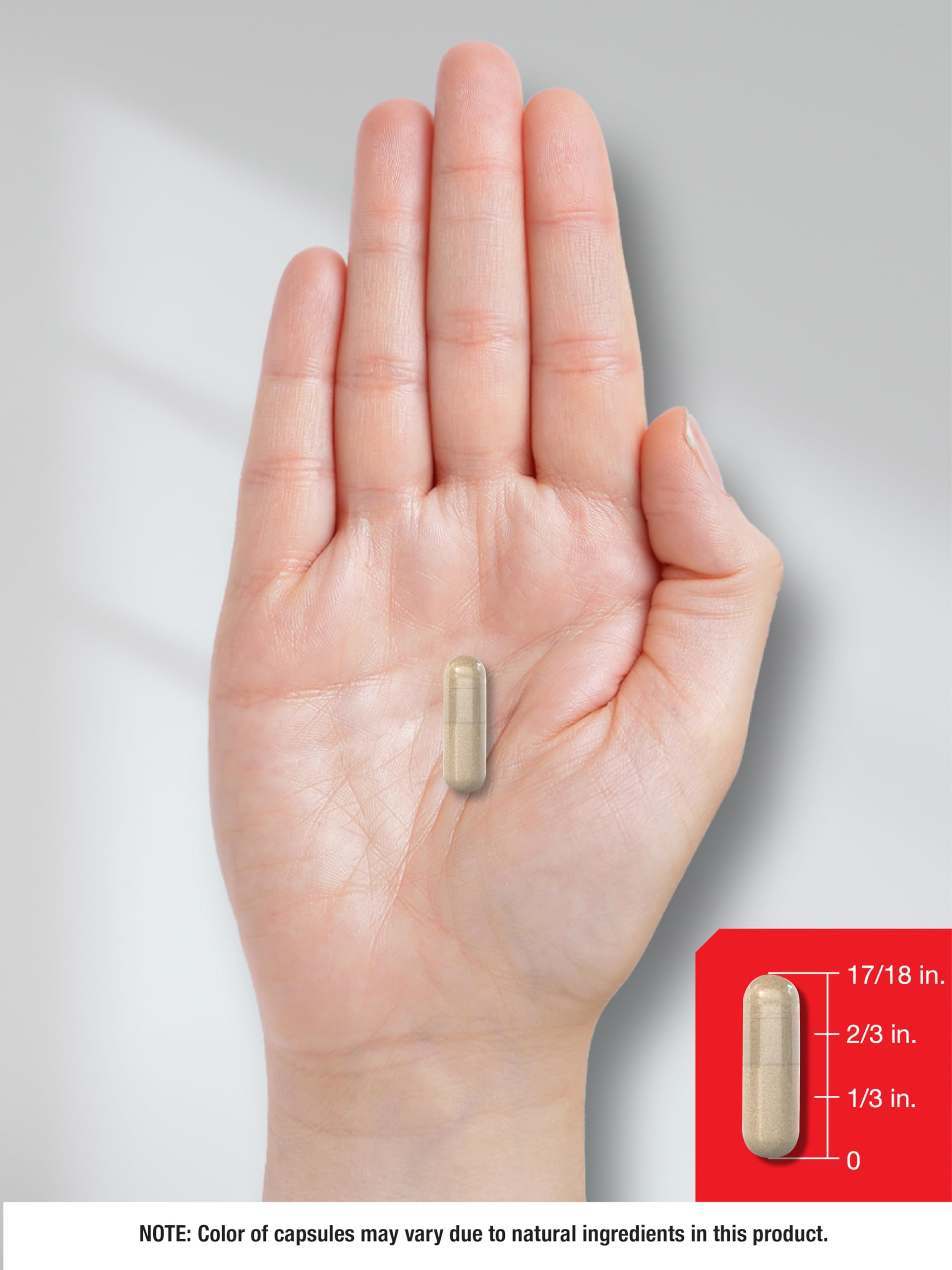 Cap of Horbaach Prostate Support bottle featured in product imagery