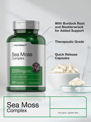 Horbäach Sea Moss Complex bottle with bladderwrack root visual.