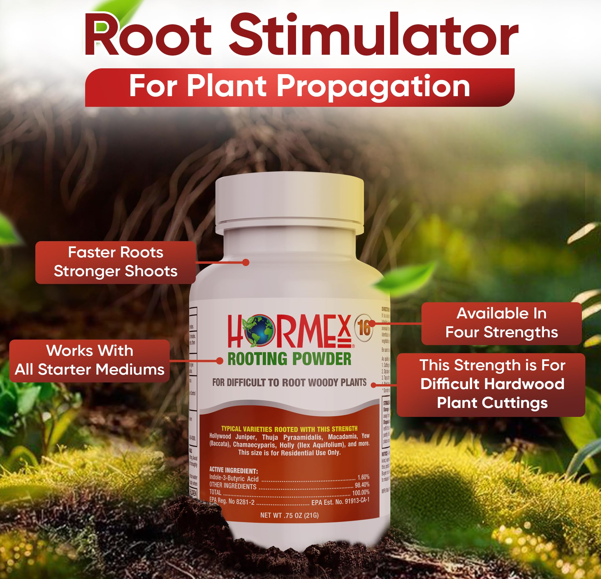 Hormex Rooting Powder being used to dip a cutting in preparation