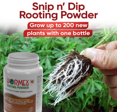 Propagation cube setup with Hormex powder and cutting