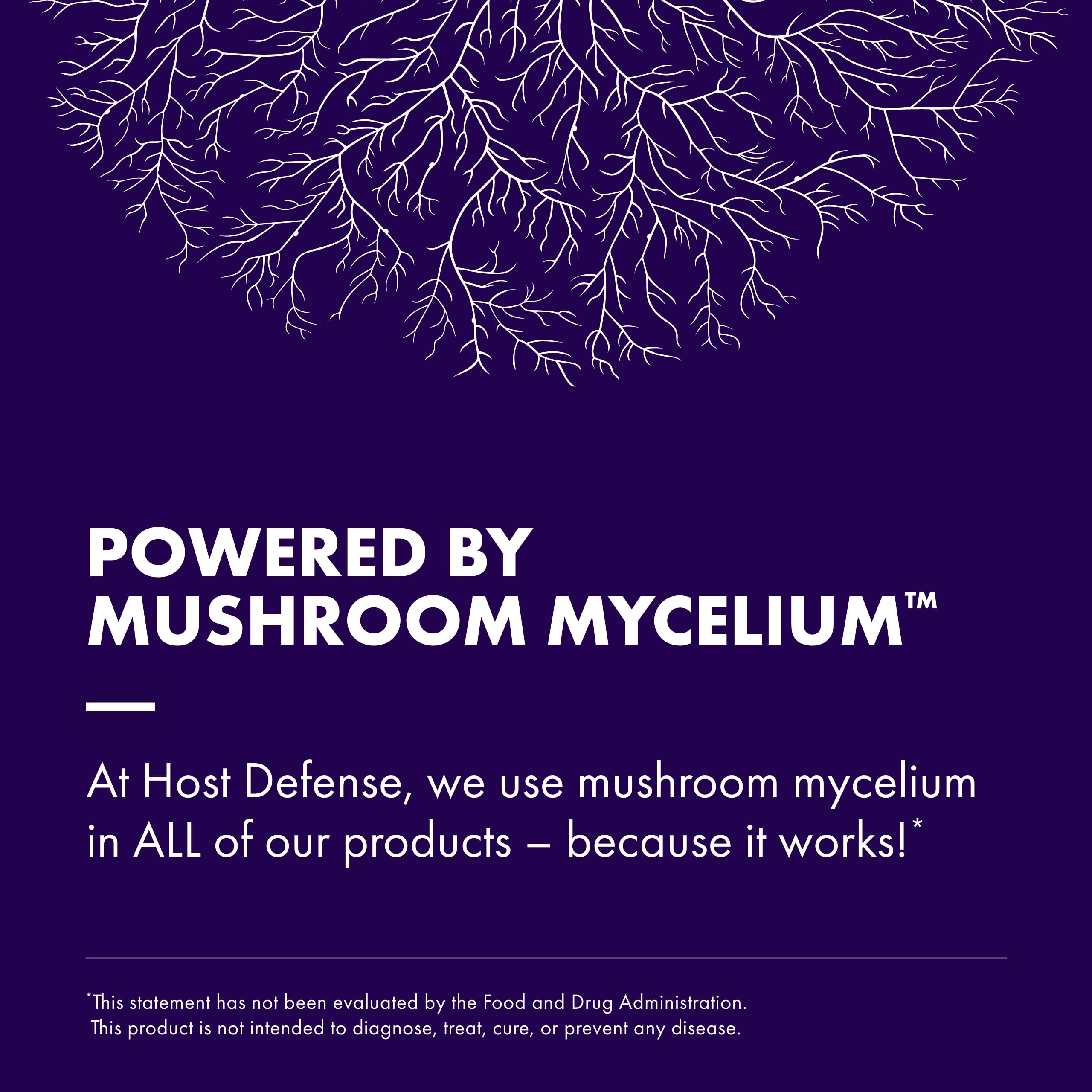 Organic brown rice substrate used to cultivate mushroom mycelium for Host Defense MycoBrew Cocoa.