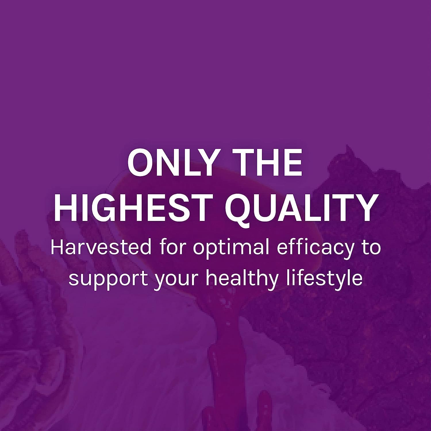 Host Defense MyCommunity USA-grown imagery reinforces domestic cultivation.