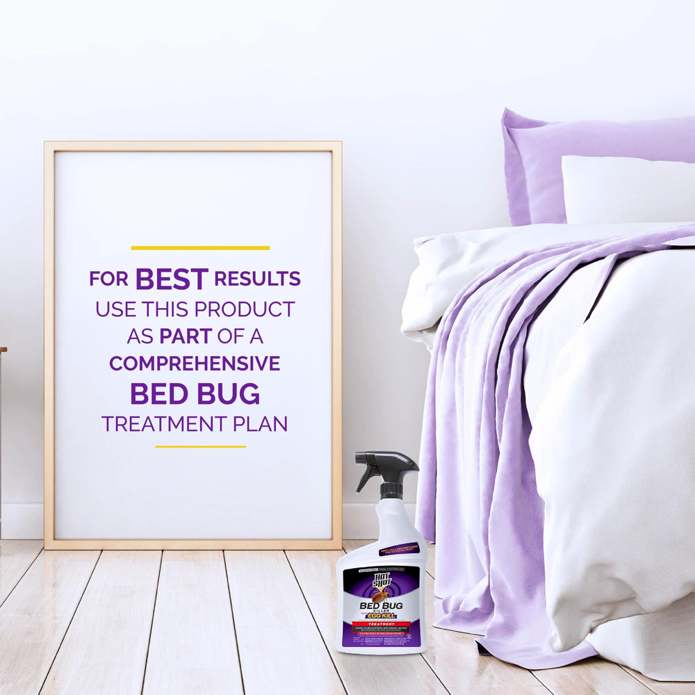 Hot Shot Bed Bug Killer designed for indoor use on furniture