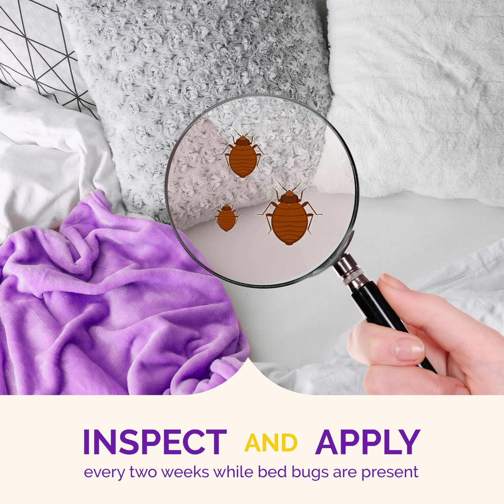 Hot Shot Bed Bug Killer odor-free indoor solution