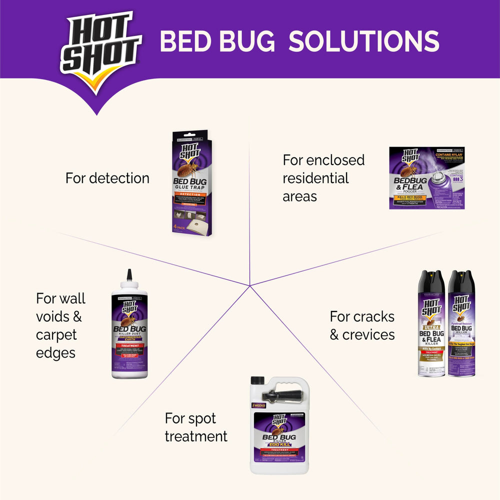 Six cans are shown in Hot Shot BedBug & Flea Fogger pack.