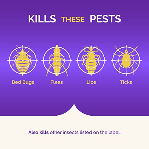 Hot Shot BedBug & Flea Fogger spray action demonstrates indoor pest control.