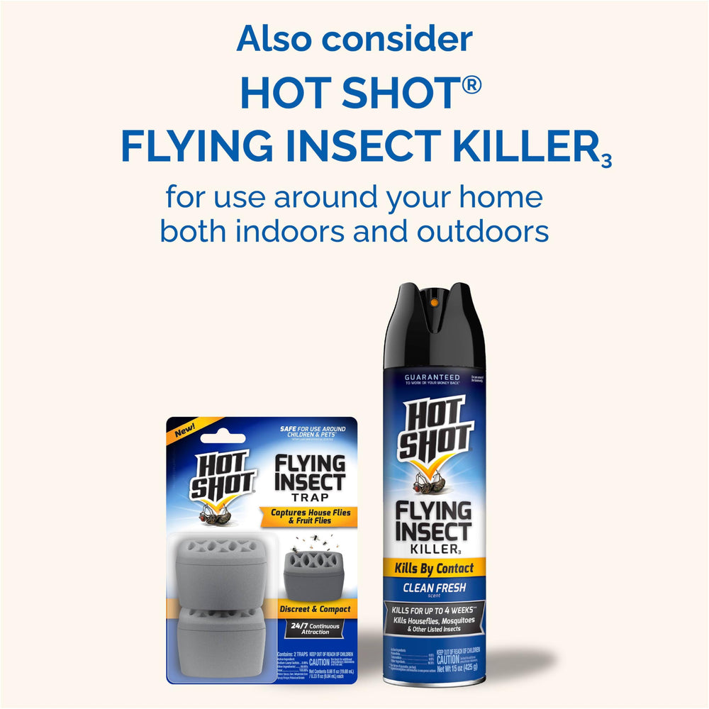 Porch and garage corners treated with Hot Shot Flying Insect Killer.