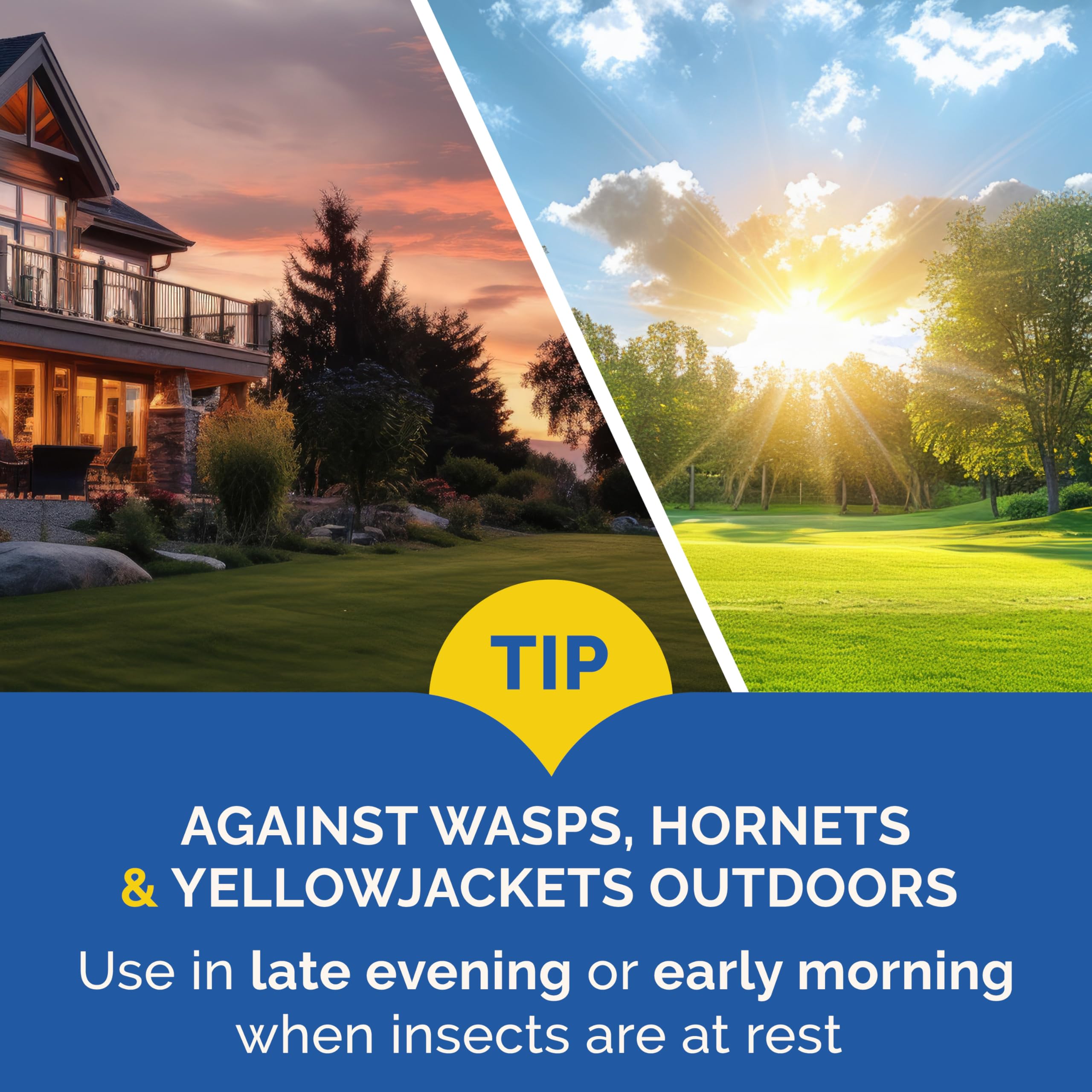 Wasps and bees near entryways treated with Hot Shot Flying Insect Killer.