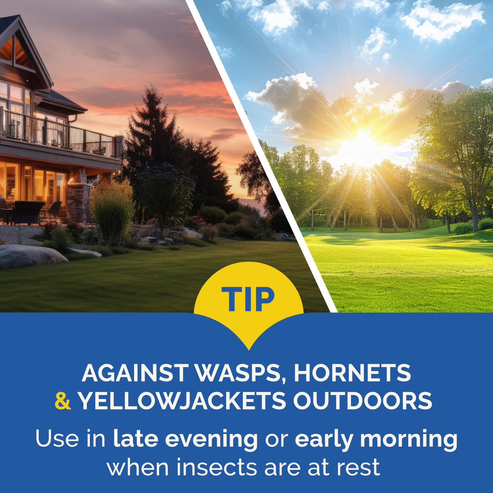 Wasps and bees near entryways treated with Hot Shot Flying Insect Killer.