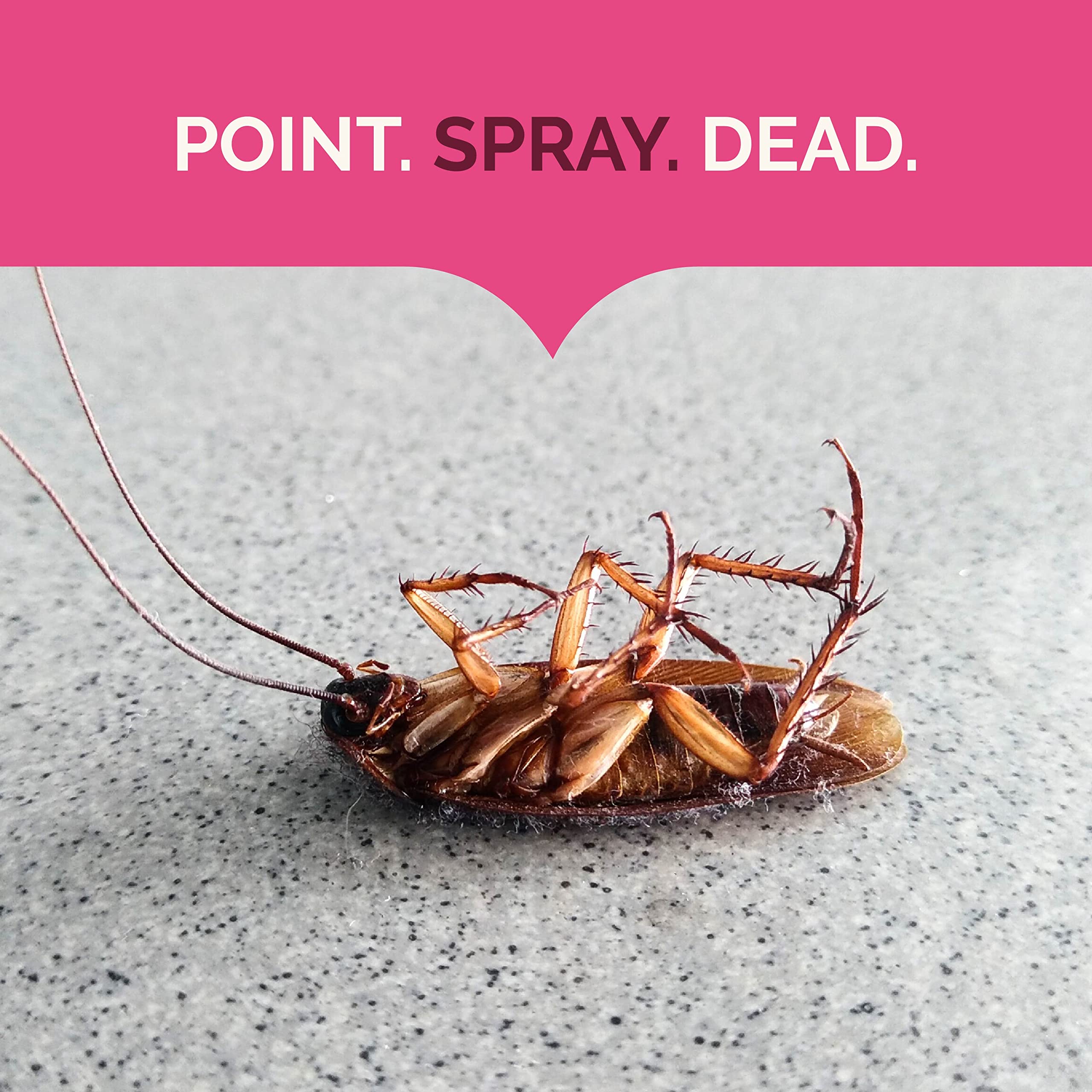 Indoor baseboard spot treatment with Hot Shot for control.