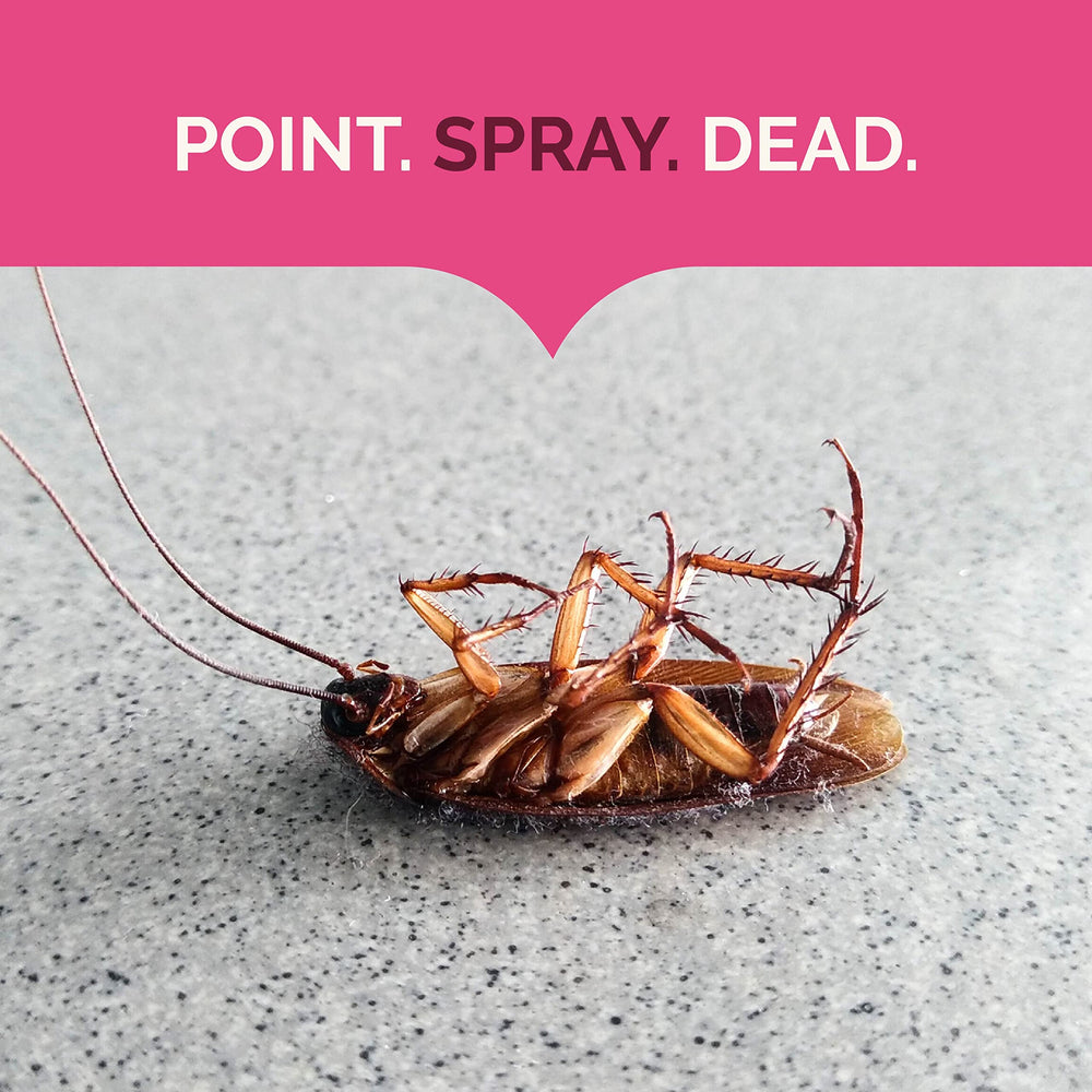 Indoor baseboard spot treatment with Hot Shot for control.