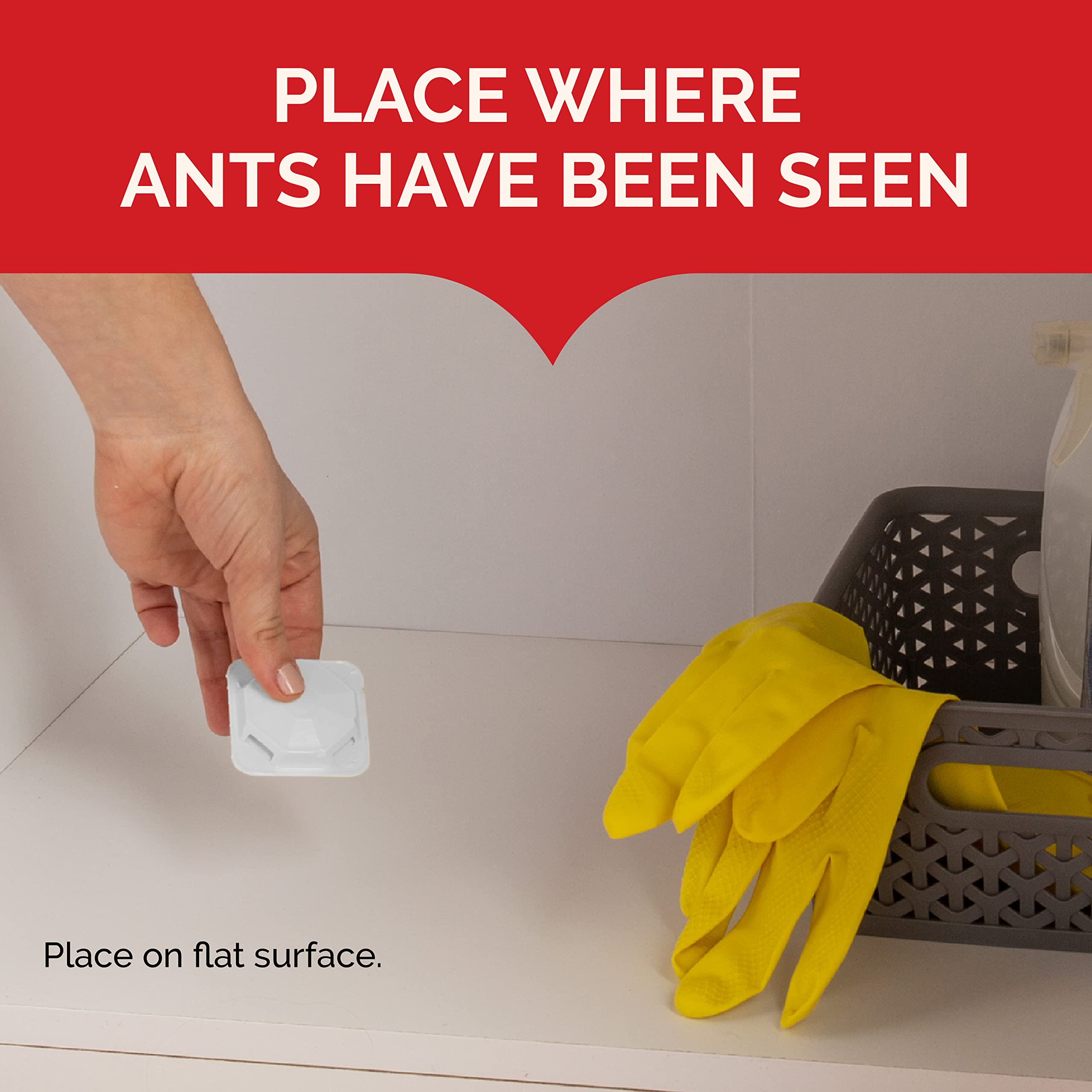 Hot Shot MaxAttrax kitchen cabinet placement targets ants near food areas.