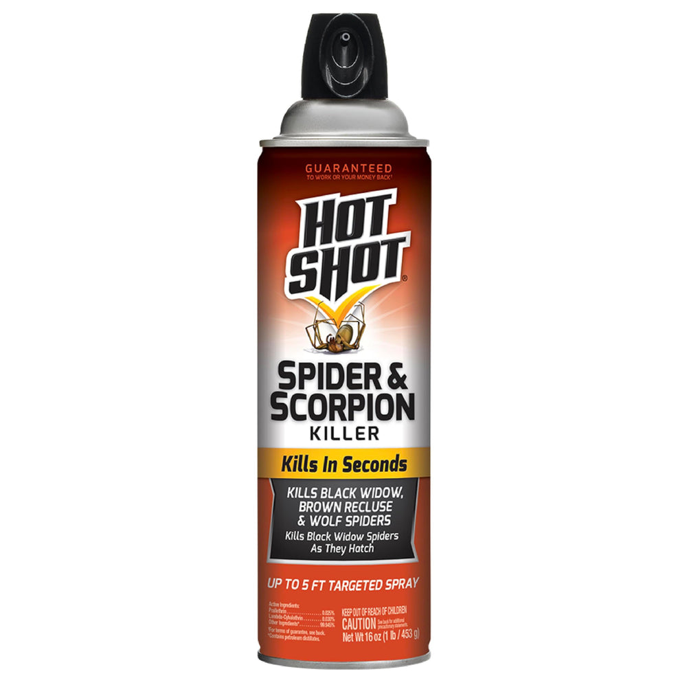 Hot Shot Spider and Scorpion Killer aerosol bottle ready for fast indoor pest control.