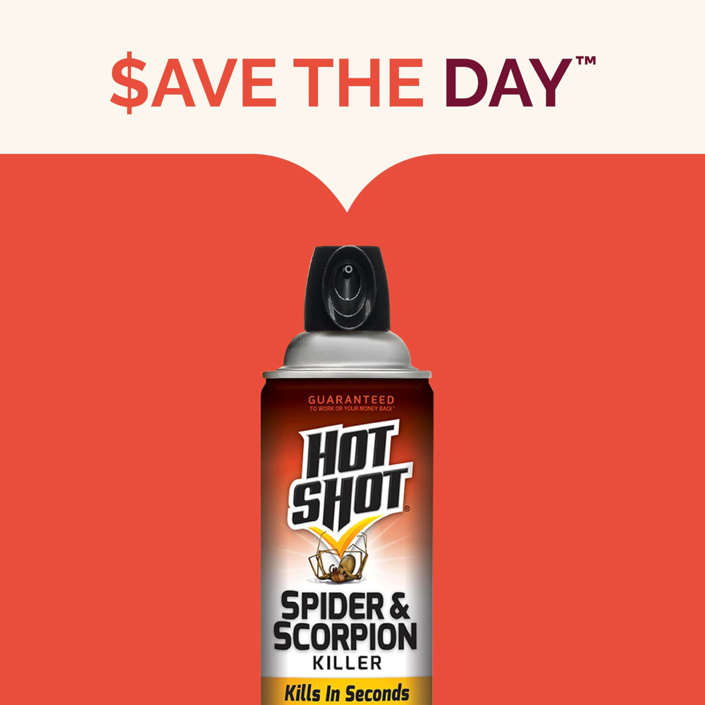 Hot Shot spider and scorpion killer reaches baseboards and tight spots behind appliances.