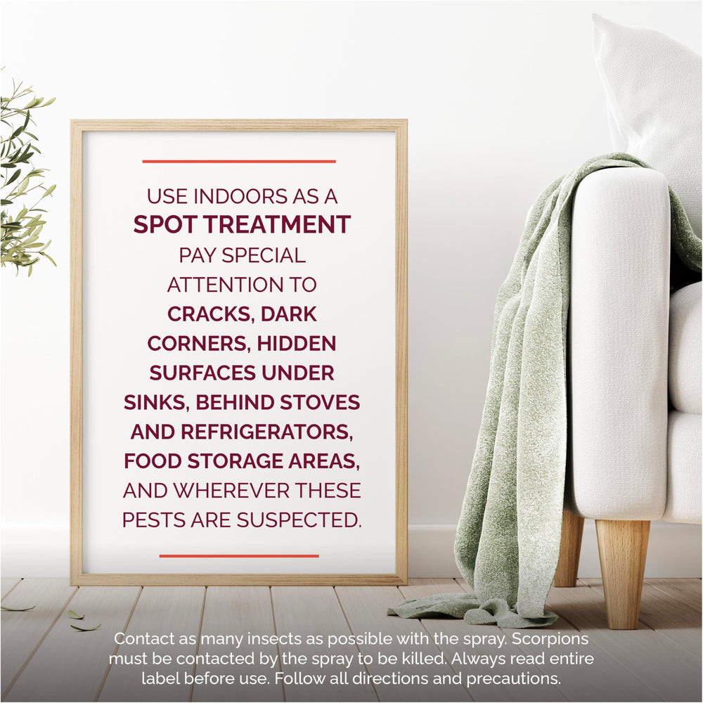 Hot Shot spider and scorpion killer provides up to four months of pest control.
