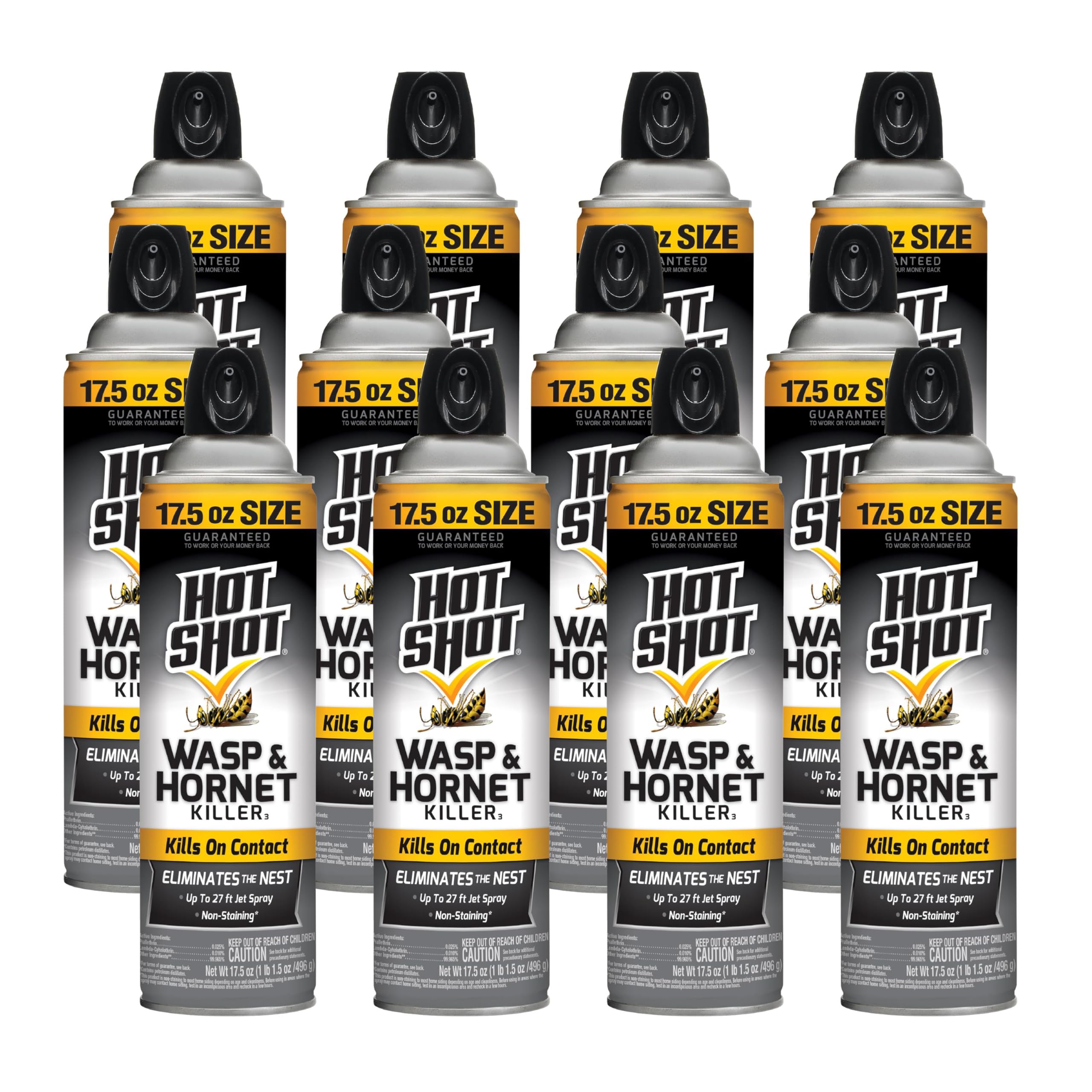 Hot Shot Wasp & Hornet Killer 17.5 oz with up to 27-foot jet spray for distant nests.