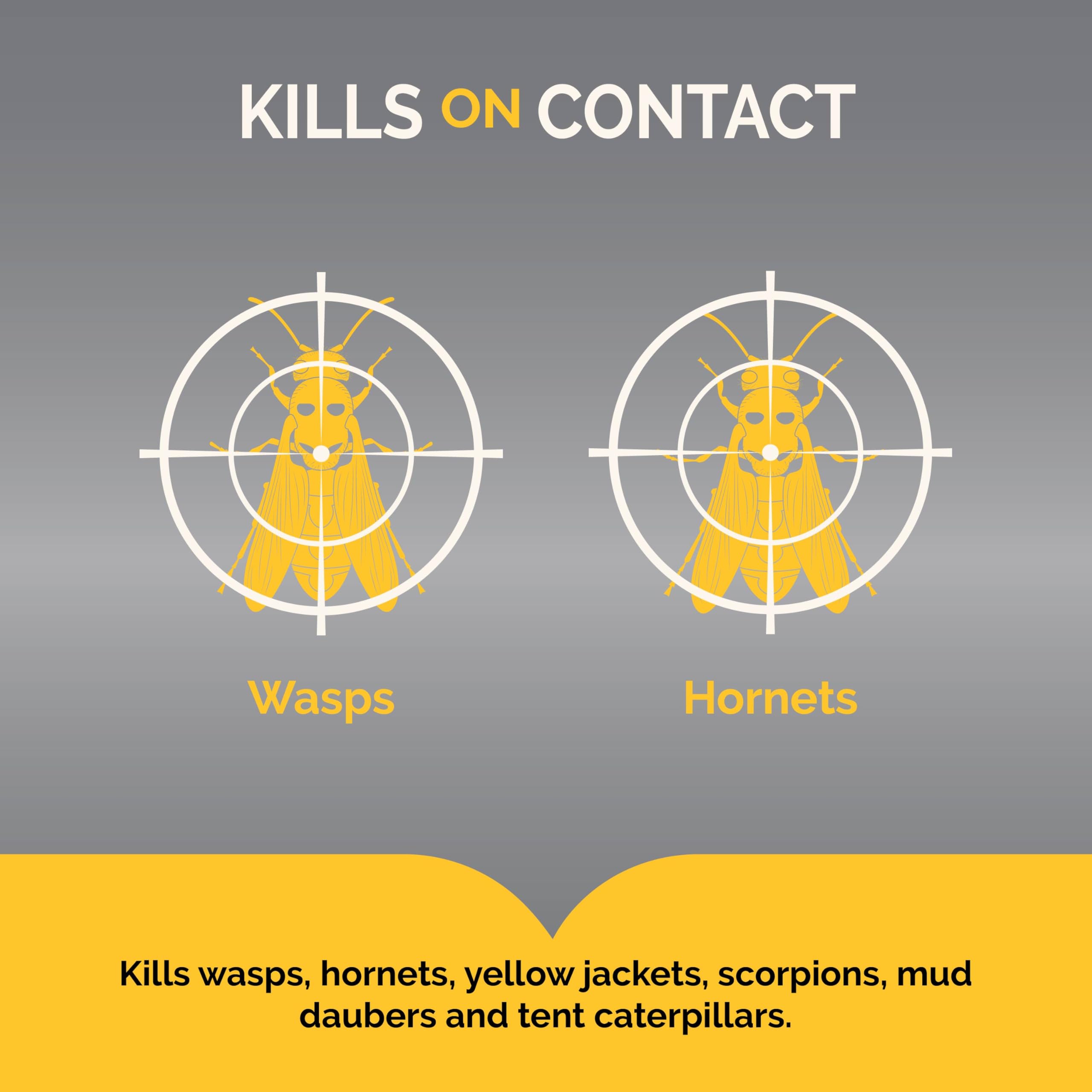 Hot Shot Wasp & Hornet Killer aerosol targets nests for quick elimination.