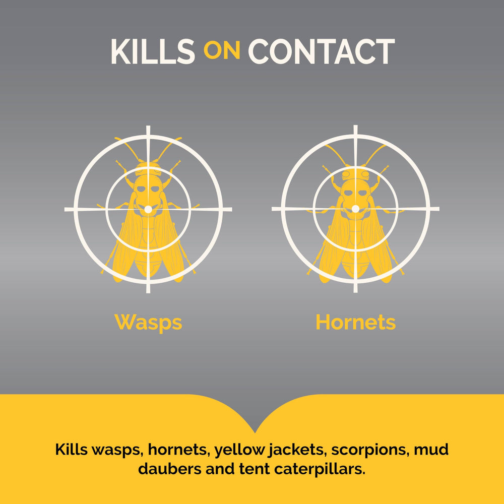 Hot Shot Wasp & Hornet Killer aerosol targets nests for quick elimination.