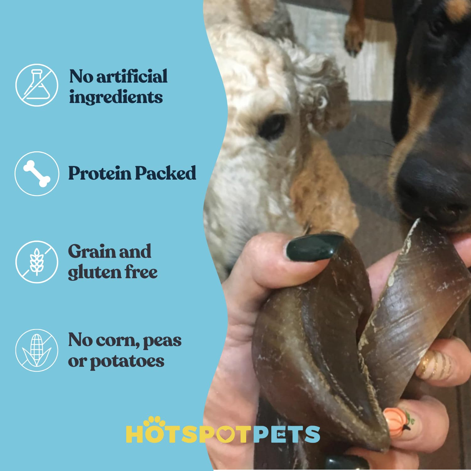 Hotspot Pets grass-fed cattle hooves provide natural, savory chew sessions