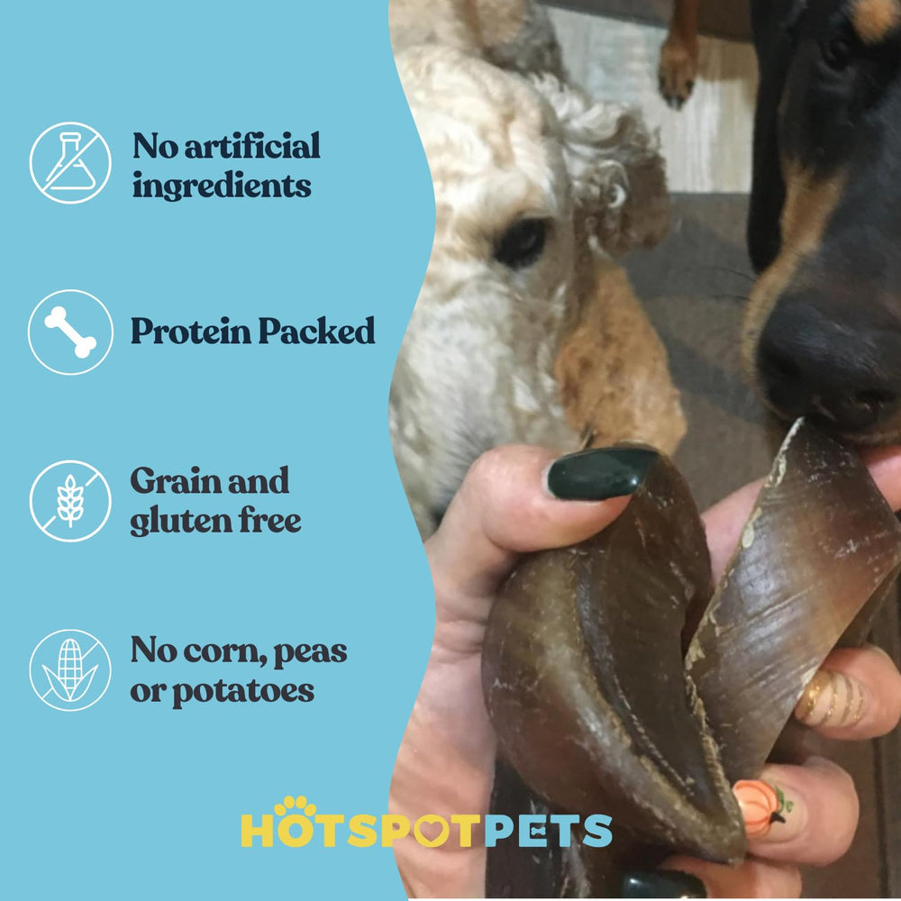 Hotspot Pets grass-fed cattle hooves provide natural, savory chew sessions