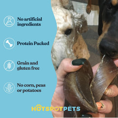 Hotspot Pets grass-fed cattle hooves provide natural, savory chew sessions
