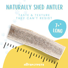 Elk antlers for large dogs durable chew with ample chew surface