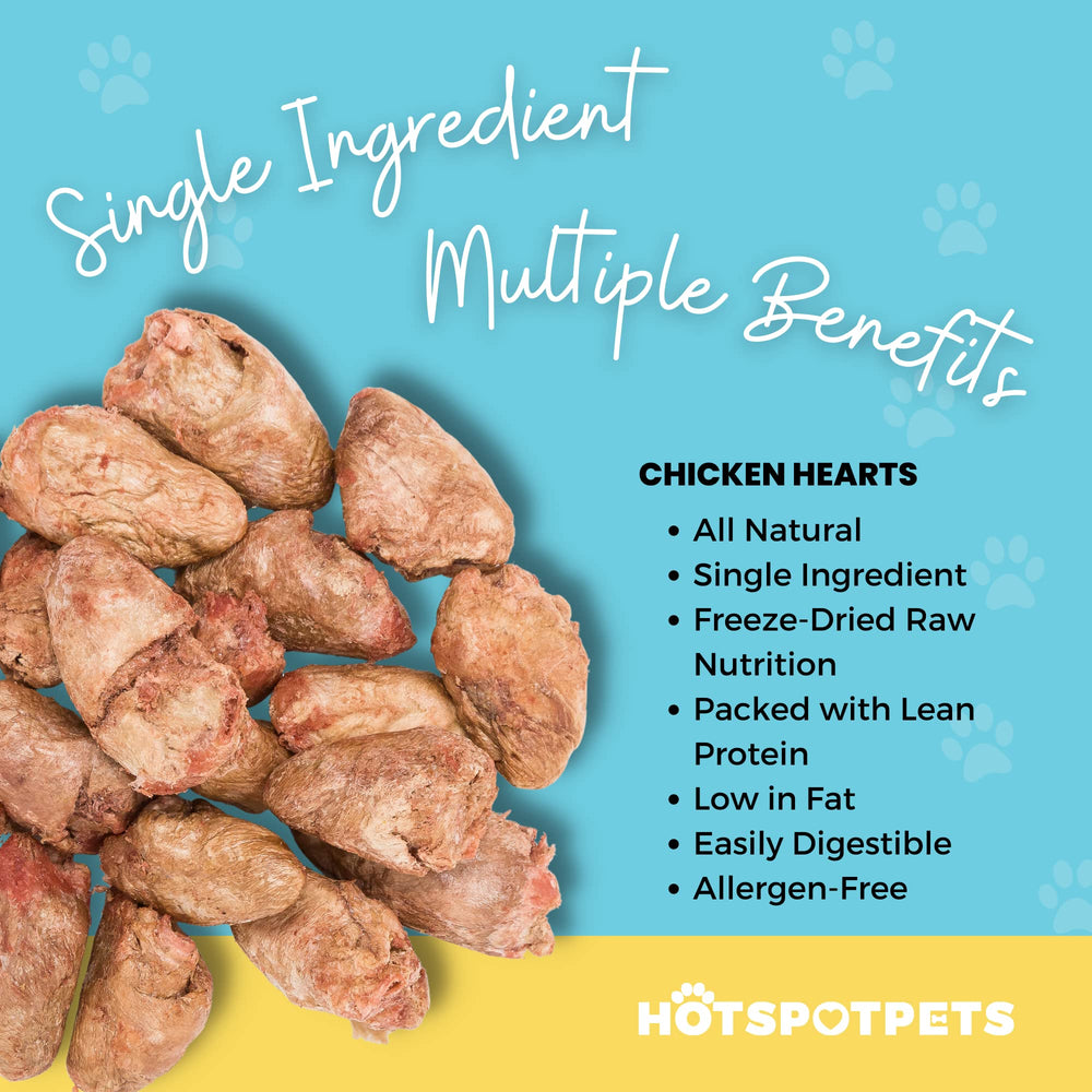 Hotspot Pets 1lb bag of freeze dried chicken hearts, real-food snack for cats and dogs.