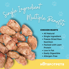 Hotspot Pets 1lb bag of freeze dried chicken hearts, real-food snack for cats and dogs.