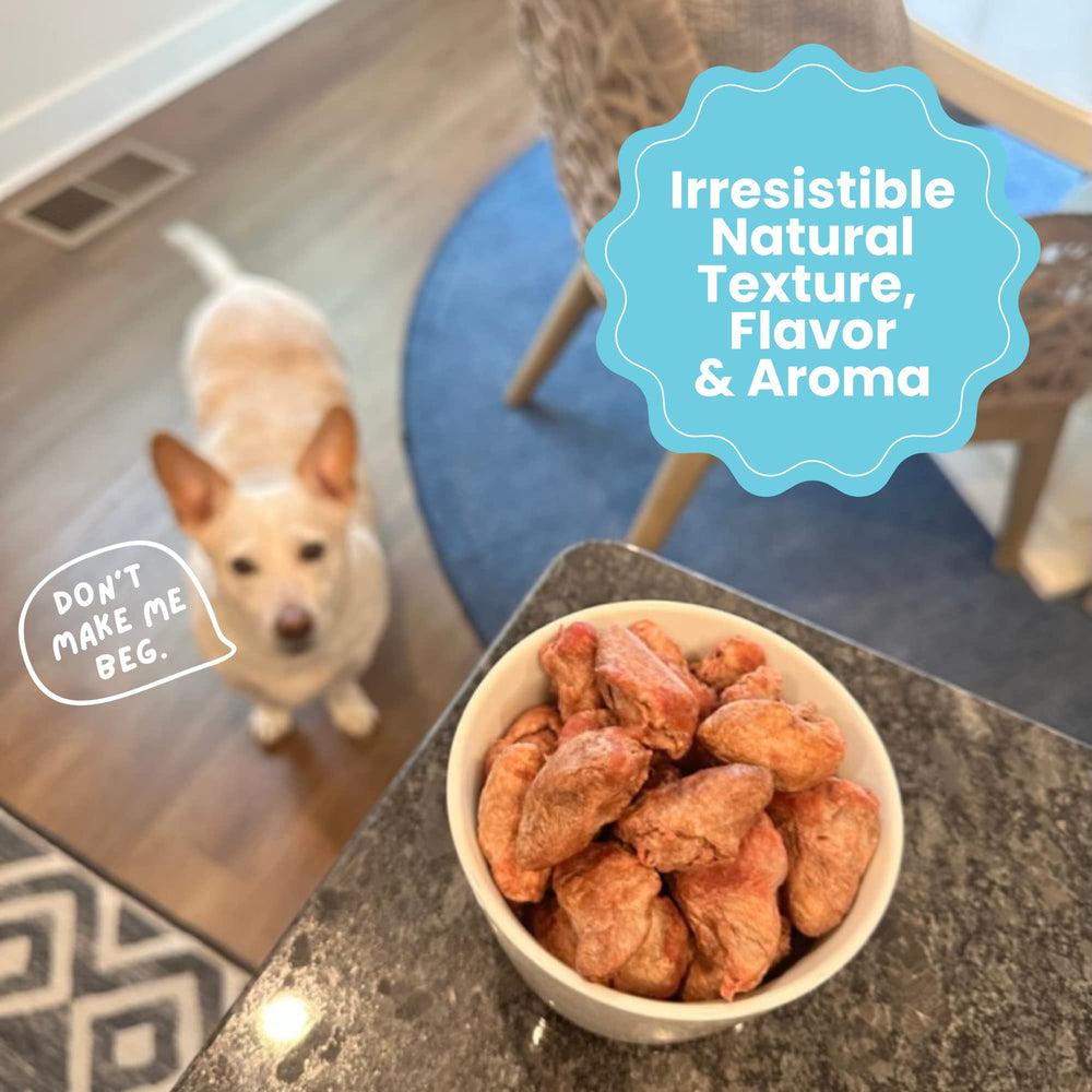 Hotspot Pets single-ingredient treat, no fillers, ideal for pets with dietary sensitivities.