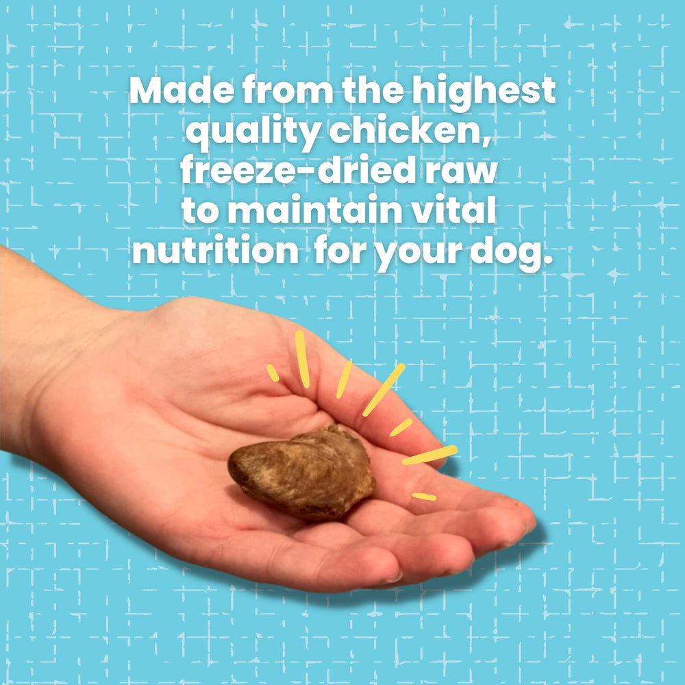 Hotspot Pets natural grain-free hearts, allergen-free snack for dogs and cats.