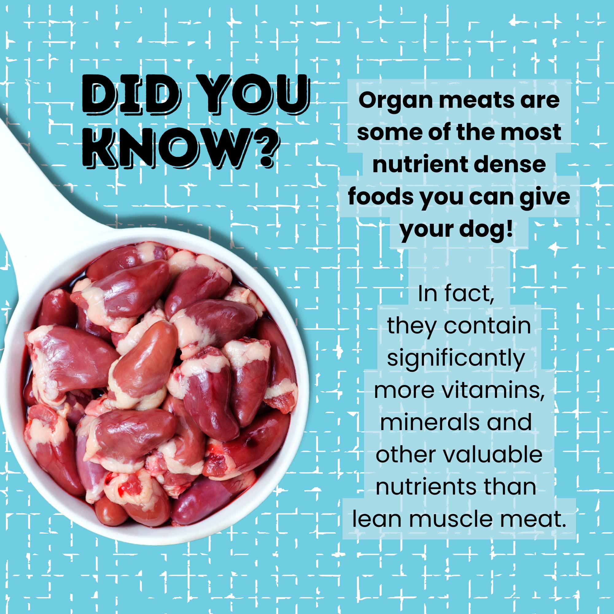 Hotspot Pets chicken hearts atop kibble, a tasty topper that pairs with meals.