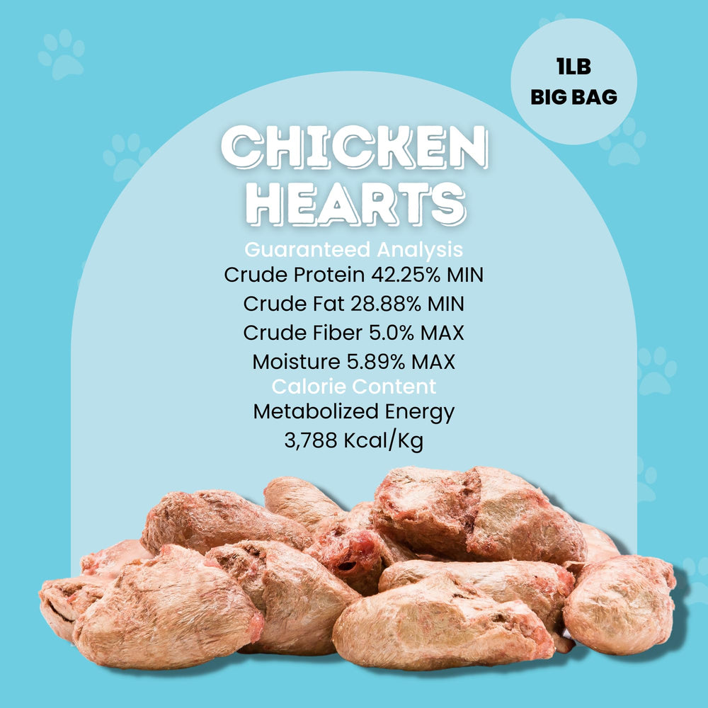 Hotspot Pets freeze dried chicken hearts in a sturdy resealable bag for fresh flavor.