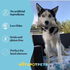 Hotspot Pets grass-fed Brazilian rawhide label image signaling quality sourcing.