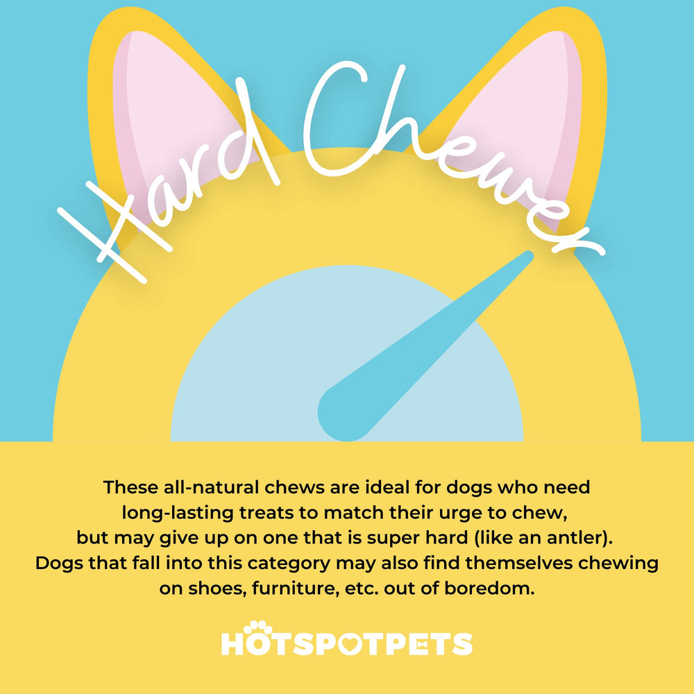 Hotspot Pets meaty flavor rawhide visual hinting natural taste for dogs.