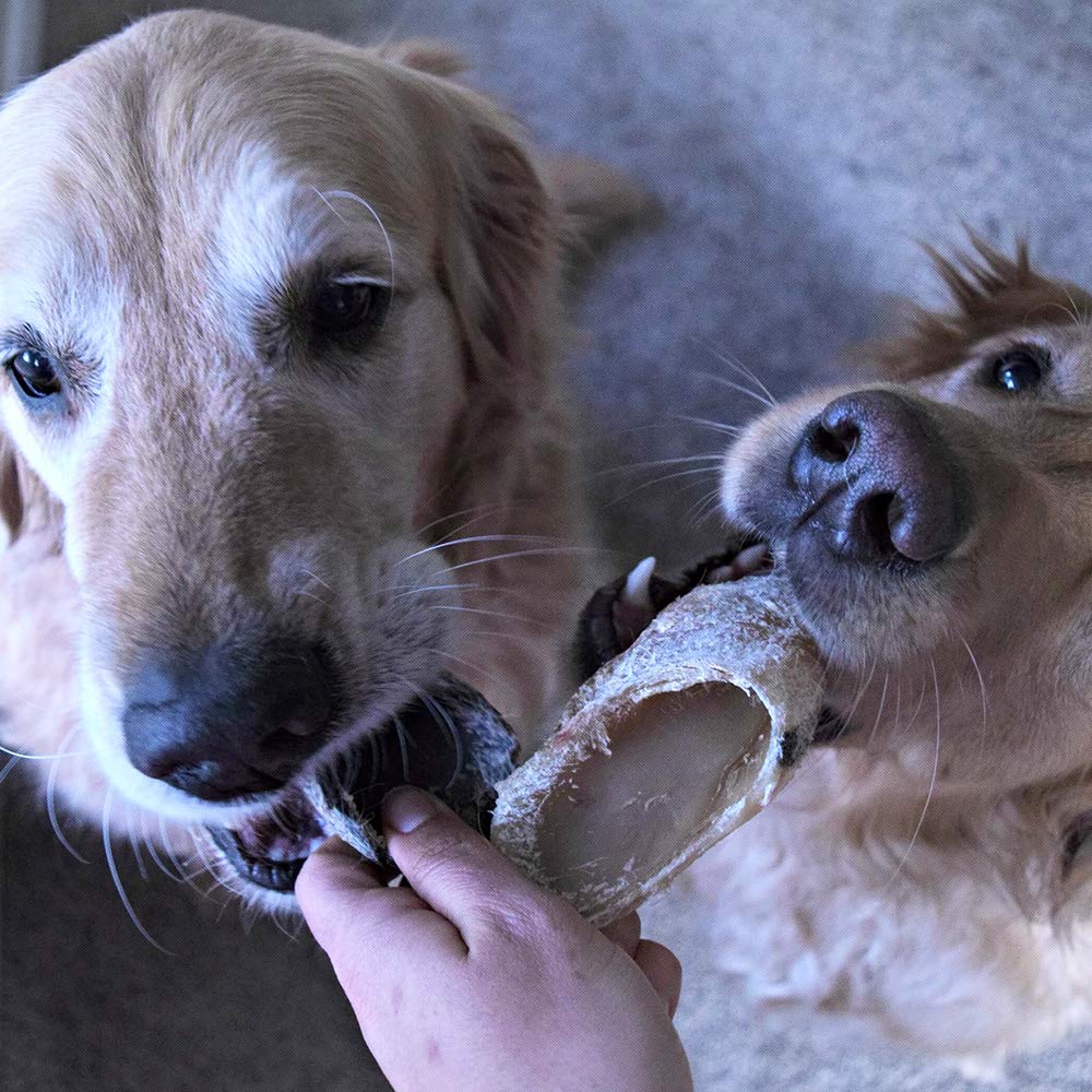 Hotspot Pets durable chews withstand heavy chewers for extended playtime