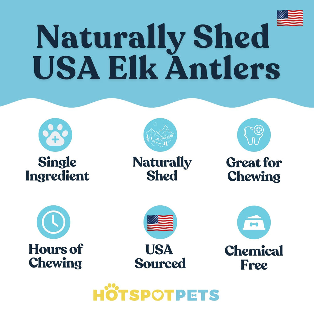 Split elk center marrow exposed for flavorful, satisfying chews for dogs