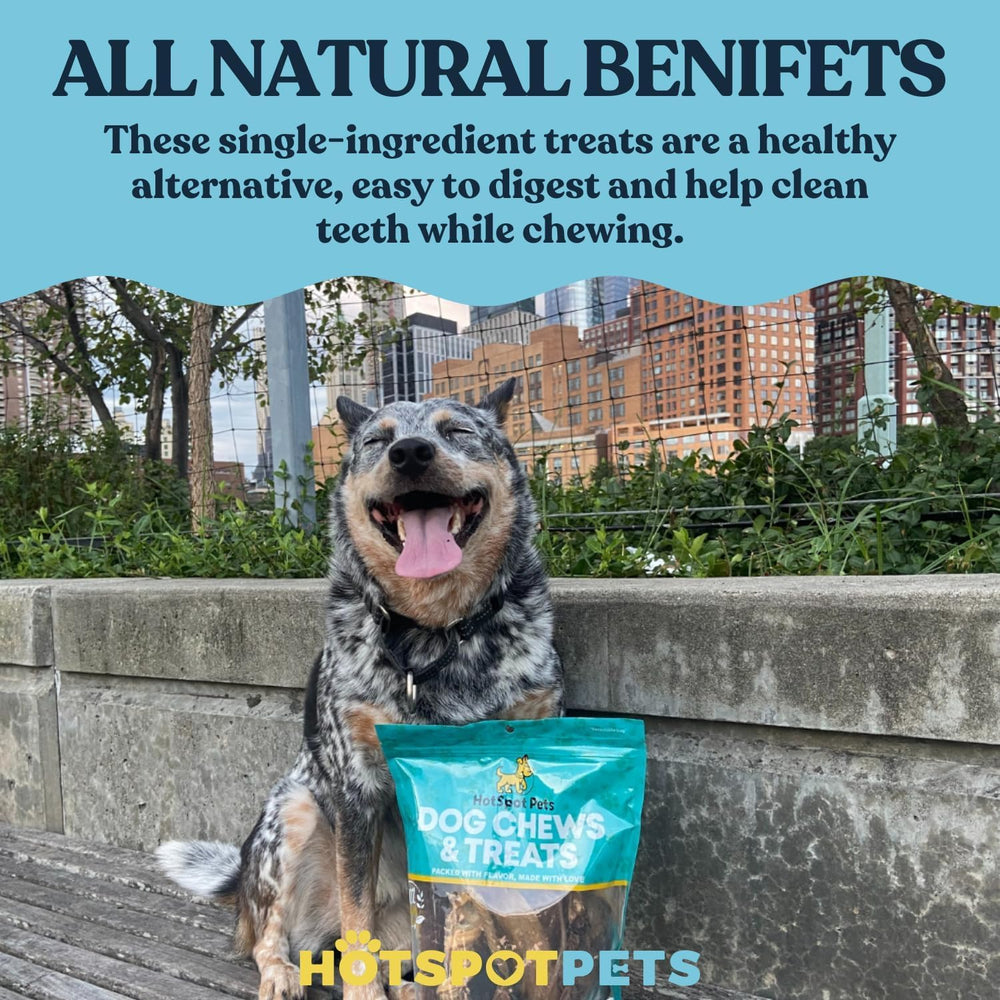 USA sourced elk antlers supporting a natural chewing routine for dogs
