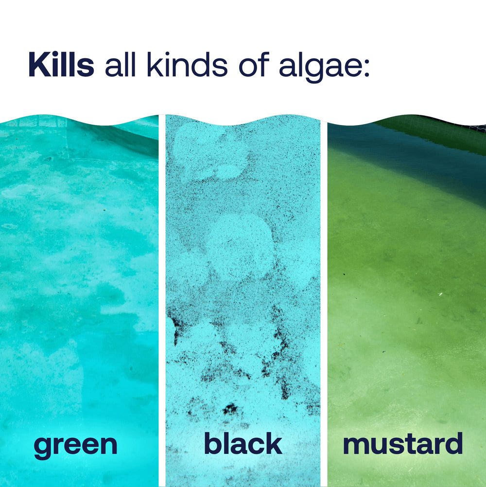 Crystal-clear pool water after HTH Algae Guard Advanced treatment.