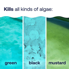 Crystal-clear pool water after HTH Algae Guard Advanced treatment.