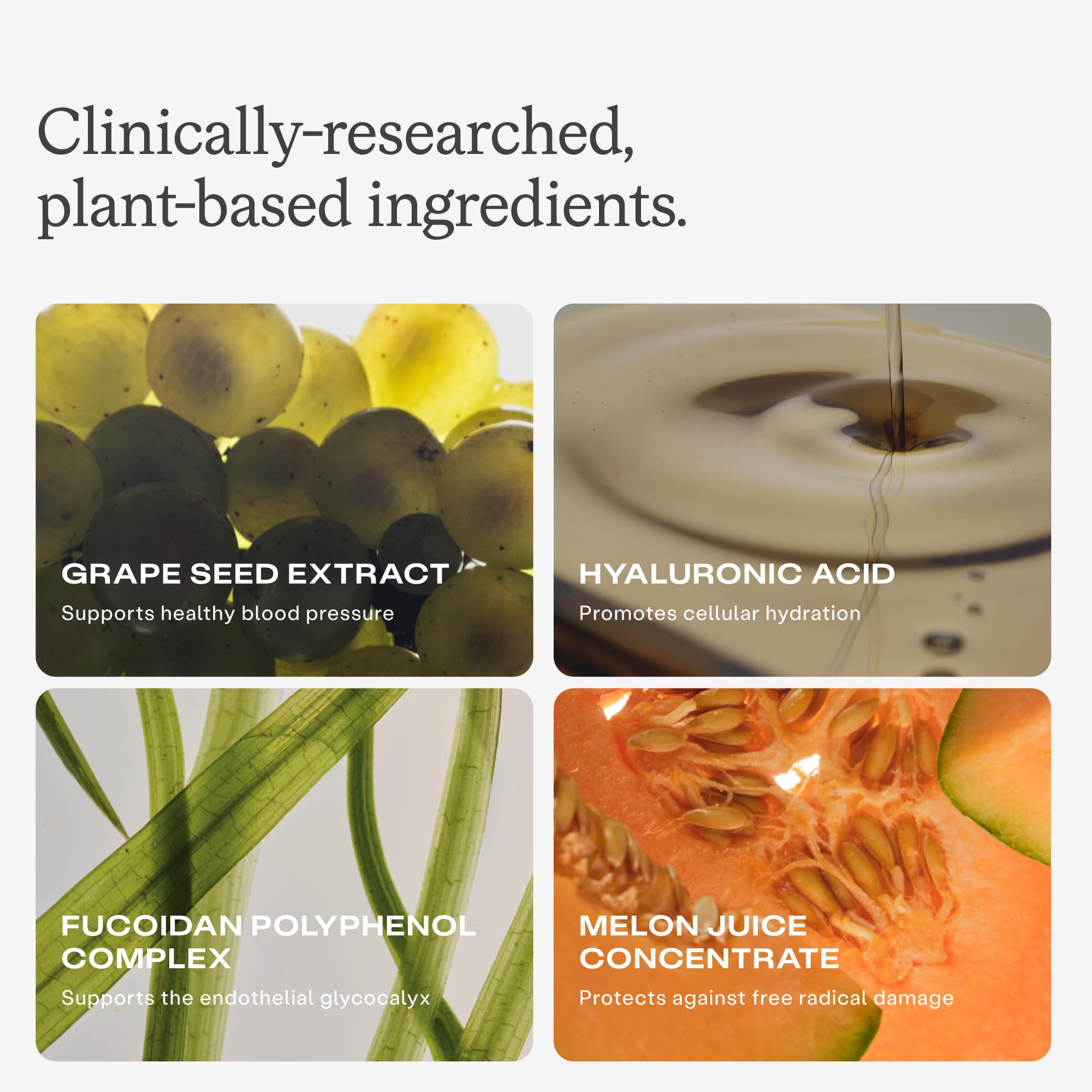 Humann melon juice concentrate bottle highlighting antioxidant support